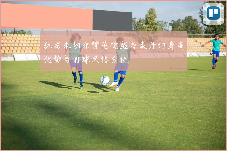 狄龙米切尔赞范德彪与麦丹的身高优势与打球风格分析