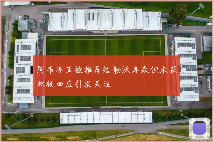 阿韦洛亚被推荐给勒沃库森但未获积极回应引发关注