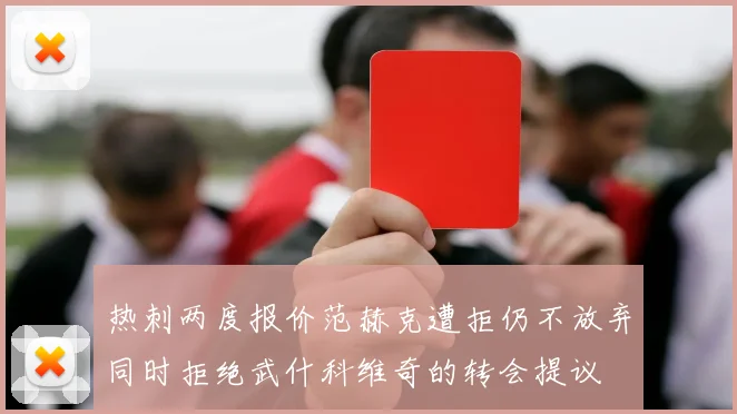 热刺两度报价范赫克遭拒仍不放弃同时拒绝武什科维奇的转会提议