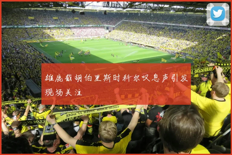 雄鹿截胡伯里斯时科尔叹息声引发现场关注